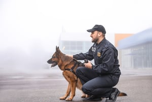 Law Enforcement Officer with K9